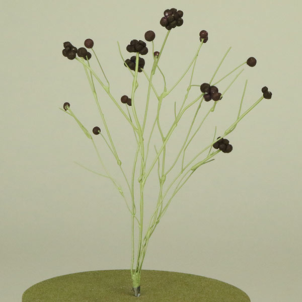 Schematic tree for an architectural model