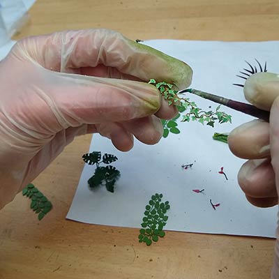 How to make etched brass plants for your model