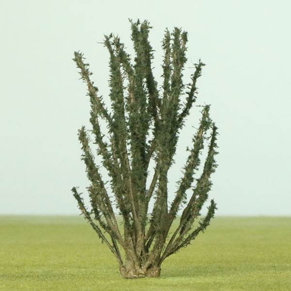 75mm model shrub