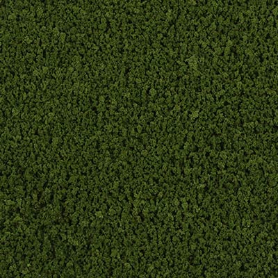 Conifer Cypress coloured texture