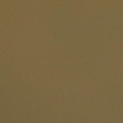 Brown trunk colour