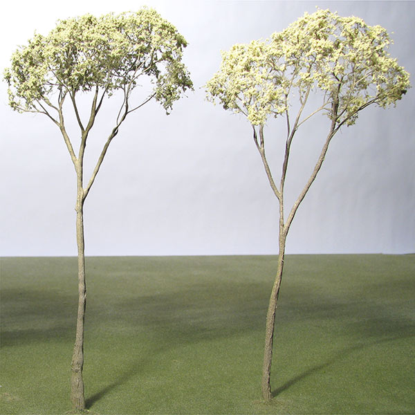 Eucalyptus model tree