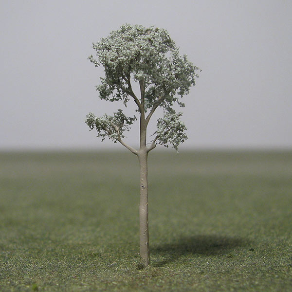 Eucalyptus model tree