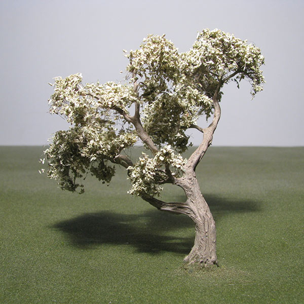 Olive model tree