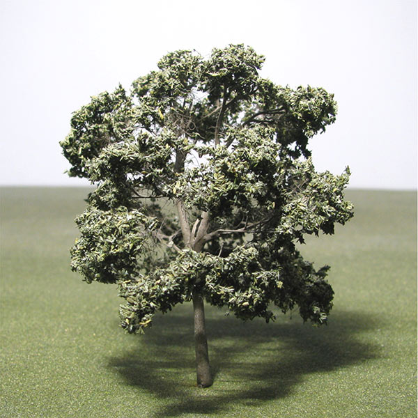 Olive model tree