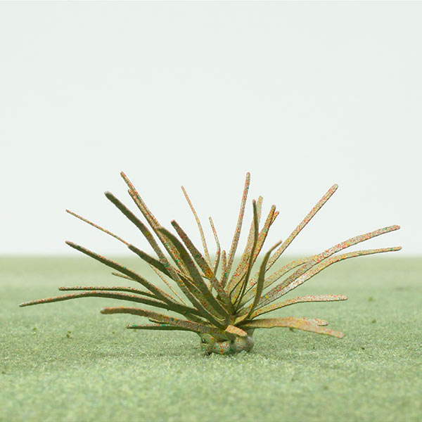 Model shrub bush
