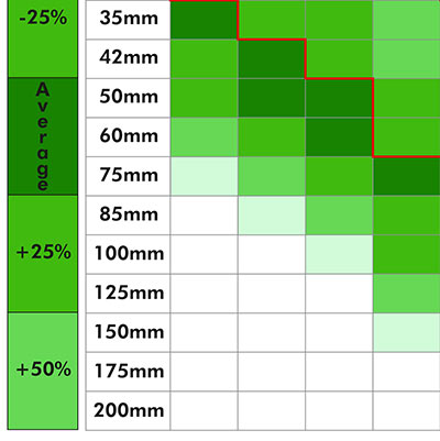 Model Tree Size Guide