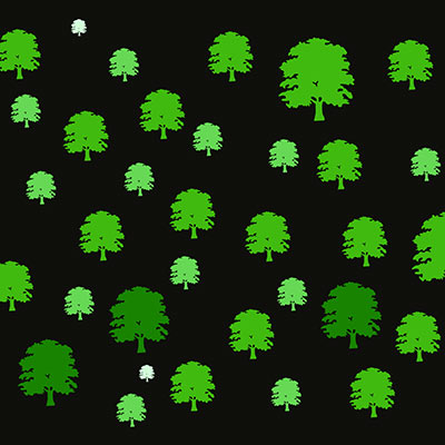 Guide to choosing the correct sized model trees