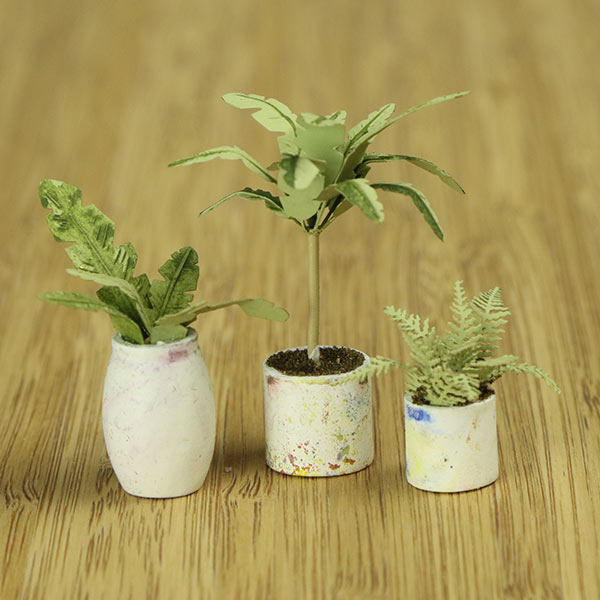 Miniature indoor plants and vase
