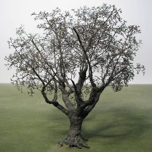 Model tree in Winter foliage