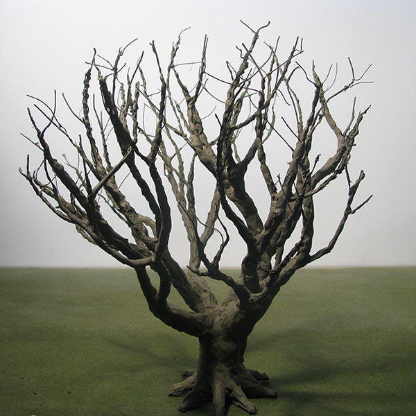 Model tree in Winter foliage