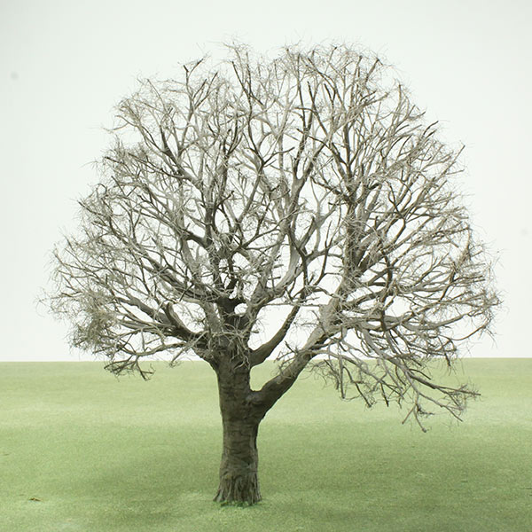 Model tree in Winter foliage