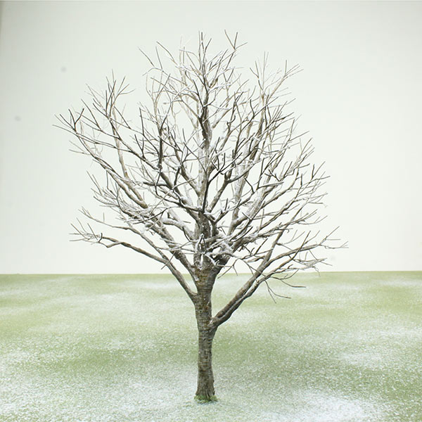 Model tree in Winter foliage